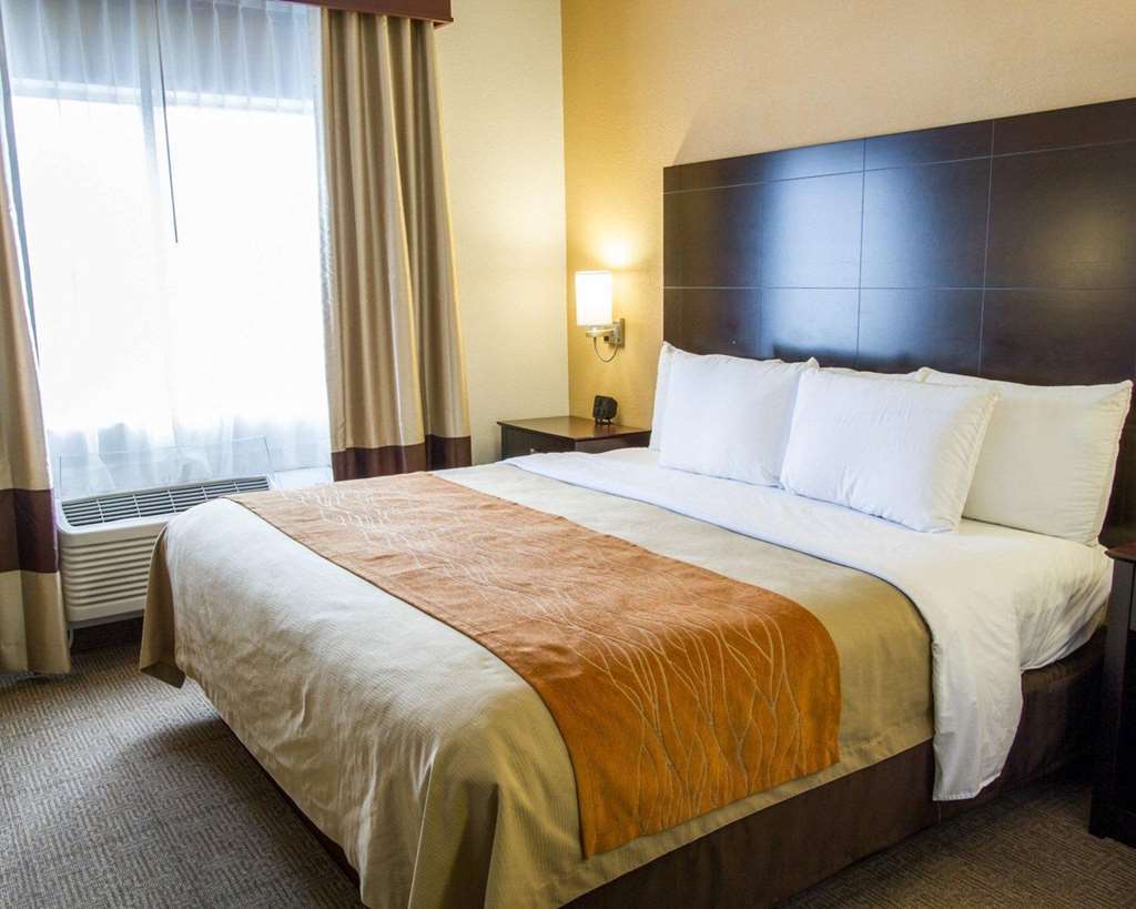 Comfort Inn & Suites Paw Paw Habitación foto